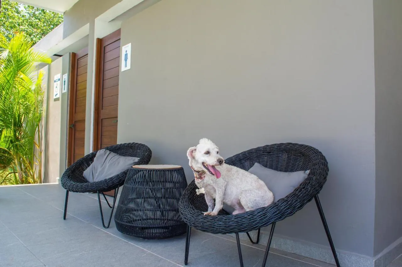 بيت للعطل Paraiso Playa Bonita- Roof Top بلايا ديل كارمن